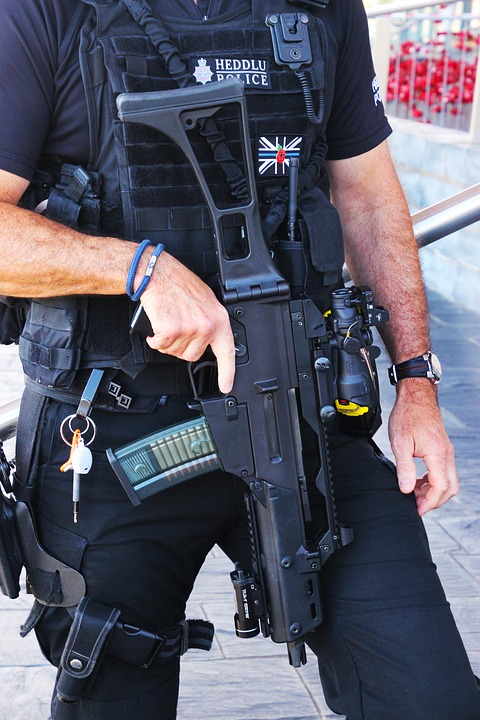 British Special Police